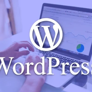 Basic Website - WordPress - Startup